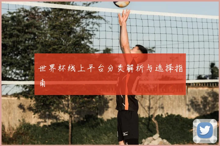 世界杯线上平台分类解析与选择指南