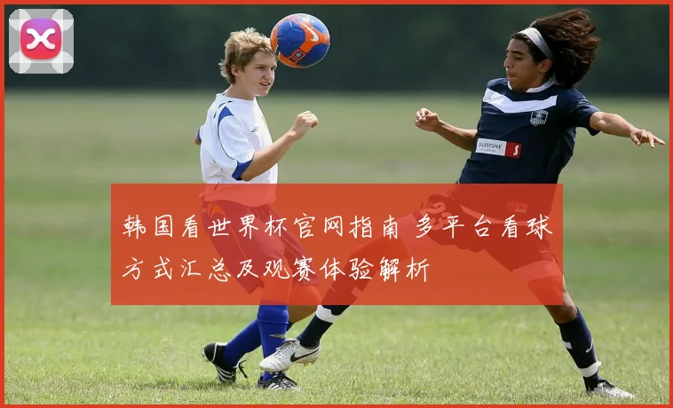 韩国看世界杯官网指南 多平台看球方式汇总及观赛体验解析